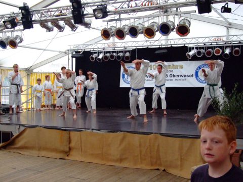 Karateaufführung