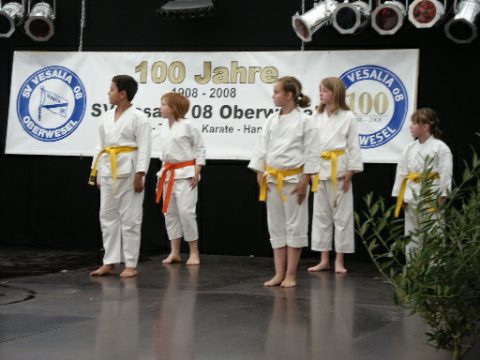 Karateaufführung