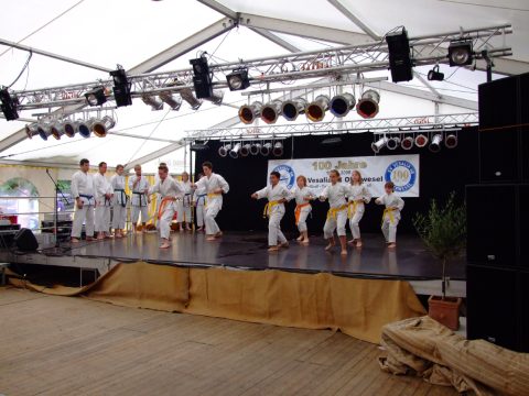 Karateaufführung