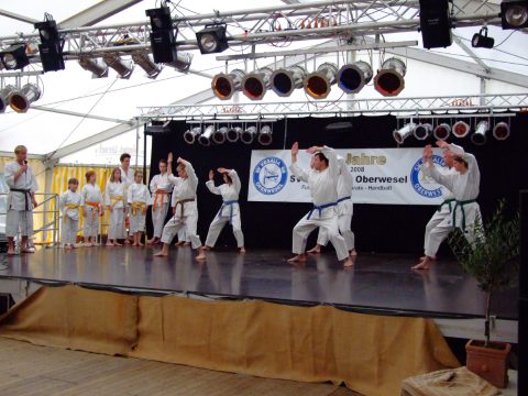 Karateaufführung