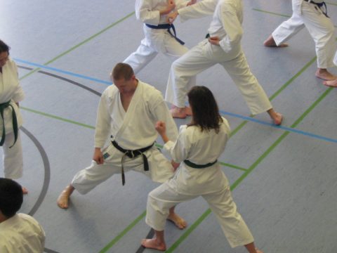 Lehrgang Sensei Scheurick