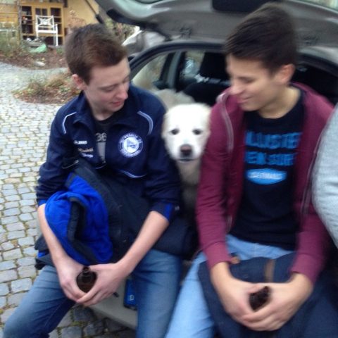 Bild zum Bericht