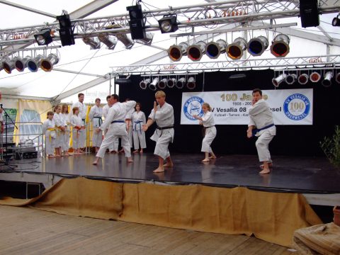 Karateaufführung
