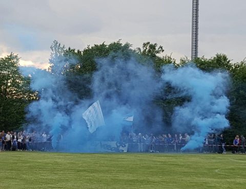 Bild zum Bericht